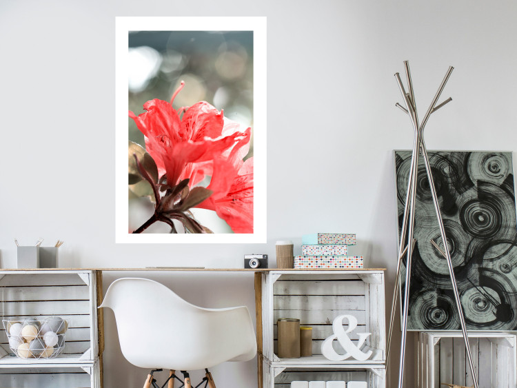 Wall Poster Red Flowers - botanical composition with intensely colored plants 121618 additionalImage 4