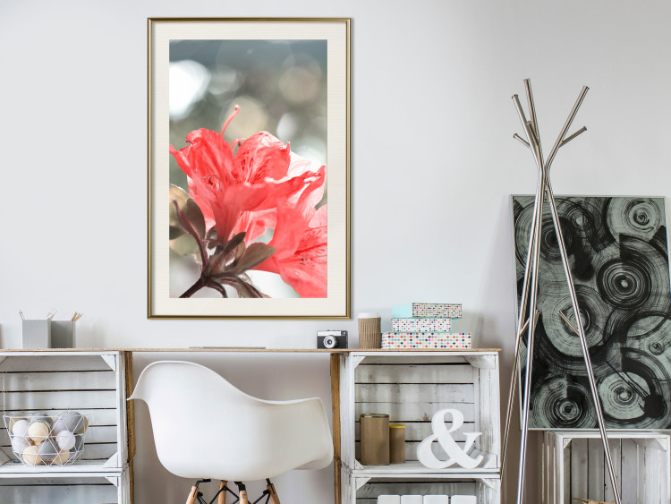 Wall Poster Red Flowers - botanical composition with intensely colored plants 121618 additionalImage 21