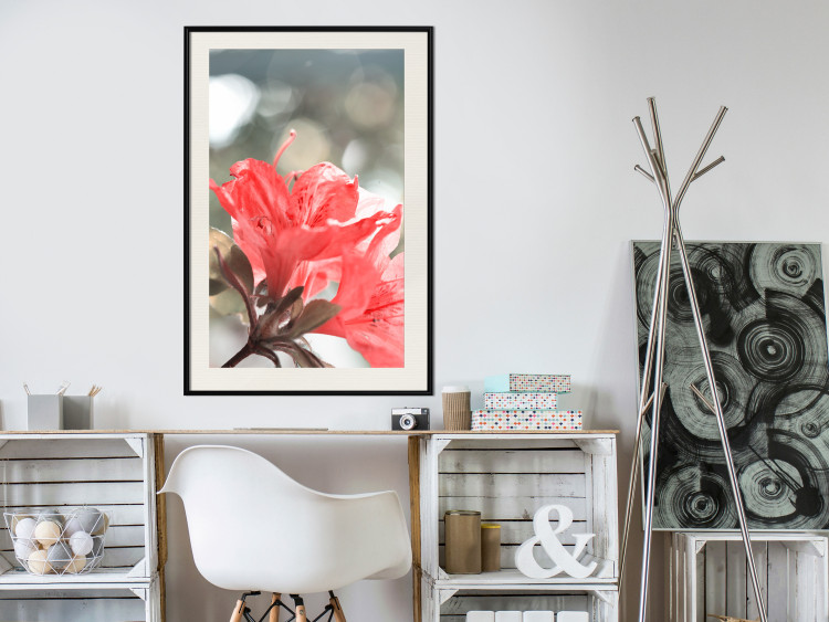 Wall Poster Red Flowers - botanical composition with intensely colored plants 121618 additionalImage 22
