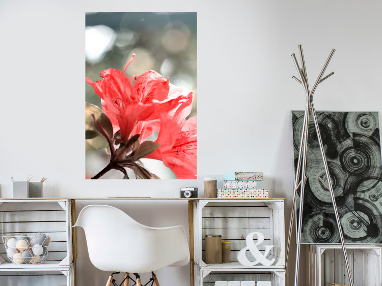 Wall Poster Red Flowers - botanical composition with intensely colored plants 121618 additionalImage 23