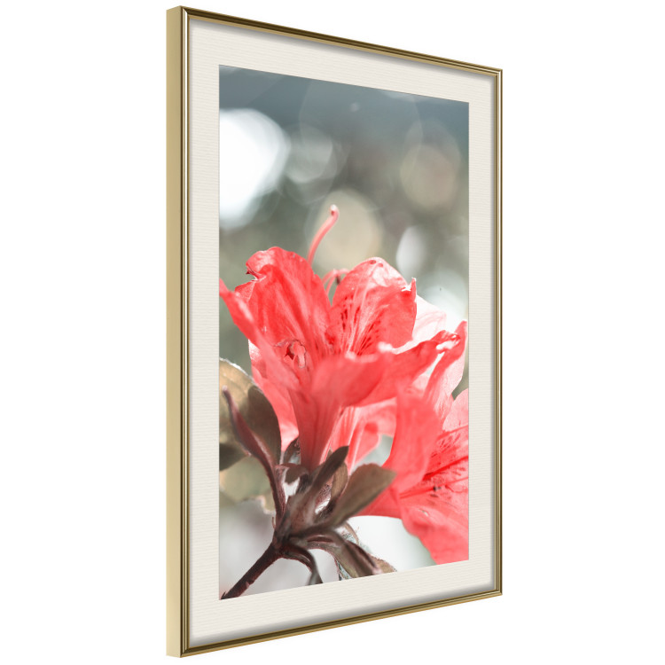Wall Poster Red Flowers - botanical composition with intensely colored plants 121618 additionalImage 2