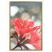 Wall Poster Red Flowers - botanical composition with intensely colored plants 121618 additionalThumb 16