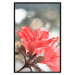 Wall Poster Red Flowers - botanical composition with intensely colored plants 121618 additionalThumb 18