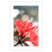 Wall Poster Red Flowers - botanical composition with intensely colored plants 121618 additionalThumb 19