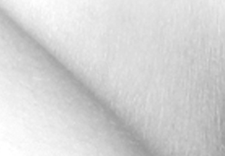 Poster Grace - black and white photograph of female neckline and neck contours 123618 additionalImage 9