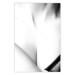 Poster Grace - black and white photograph of female neckline and neck contours 123618