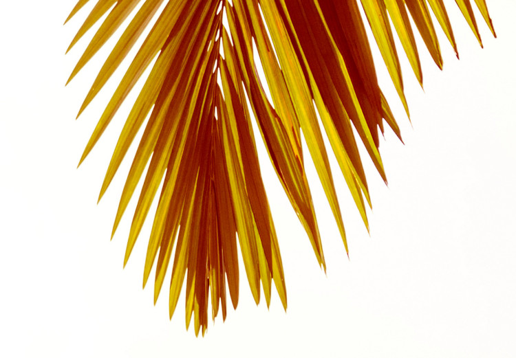 Canvas Print Palm Leaves - tropical landscape with golden palm leaves on a white background 123918 additionalImage 4