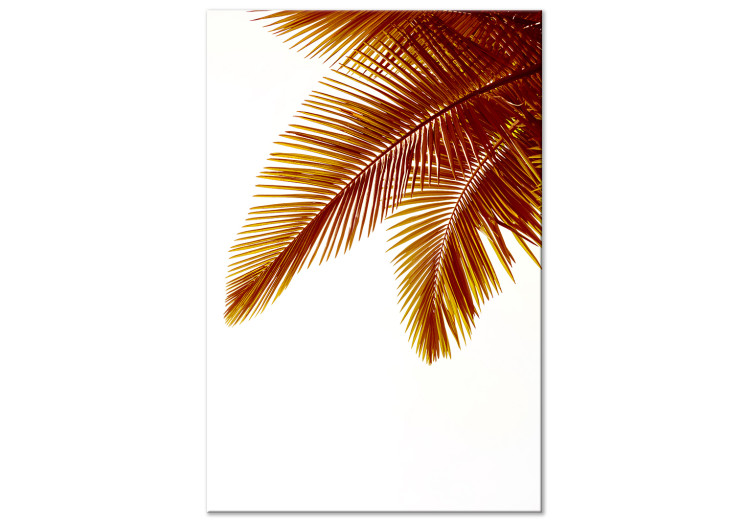 Canvas Print Palm Leaves - tropical landscape with golden palm leaves on a white background 123918