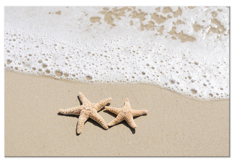 Canvas Holiday Souvenir (1-piece) Wide - starry beach landscape 129818