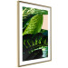 Wall Poster Dieffenbachia - plant landscape with dark green leaves on a light background 129918 additionalThumb 5