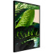 Wall Poster Dieffenbachia - plant landscape with dark green leaves on a light background 129918 additionalThumb 10