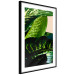 Wall Poster Dieffenbachia - plant landscape with dark green leaves on a light background 129918 additionalThumb 2