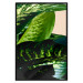 Wall Poster Dieffenbachia - plant landscape with dark green leaves on a light background 129918 additionalThumb 16