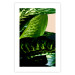 Wall Poster Dieffenbachia - plant landscape with dark green leaves on a light background 129918 additionalThumb 19