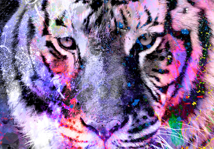 Large canvas print Colorful Cats [Large Format] 131518 additionalImage 5