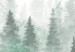 Large canvas print Scandinavian Foggy Forest [Large Format] 136418 additionalThumb 4