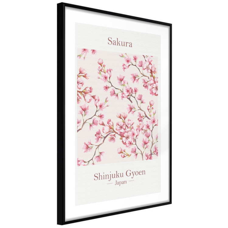 Wall Poster Sakura - English and Japanese text with pink flower 138218 additionalImage 23