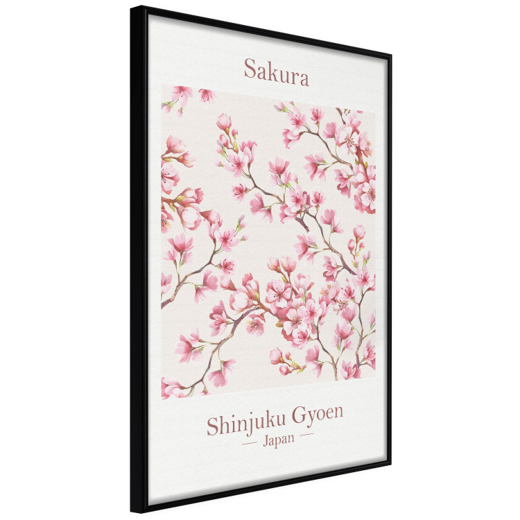 Wall Poster Sakura - English and Japanese text with pink flower 138218 additionalImage 17