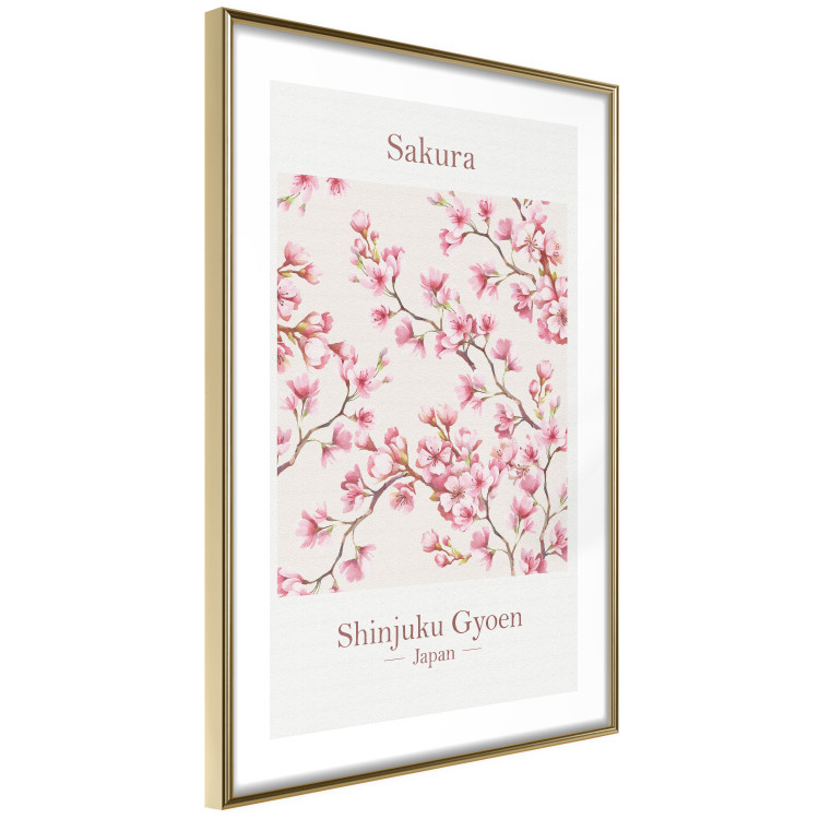 Wall Poster Sakura - English and Japanese text with pink flower 138218 additionalImage 21
