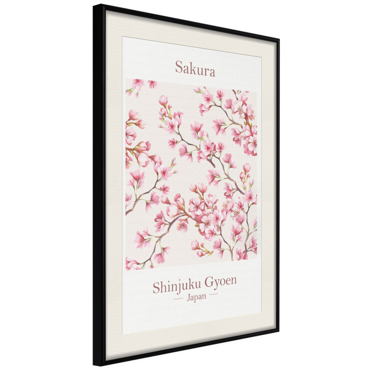 Wall Poster Sakura - English and Japanese text with pink flower 138218 additionalImage 20
