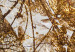Canvas In the Golden Garden (1-piece) Wide - flowers reflected in marble 143418 additionalThumb 4