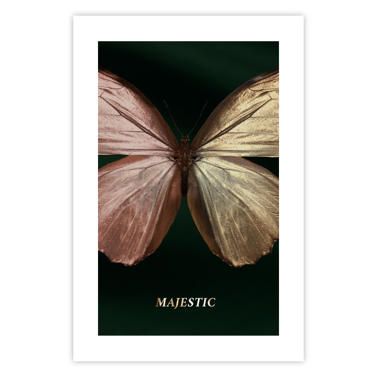 Poster Majestic Insect - Butterfly With Unusual Wings on a Dark Background 145518 additionalImage 20