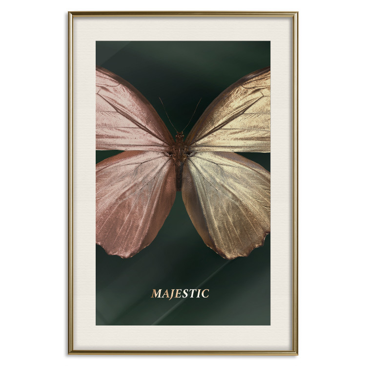 Poster Majestic Insect - Butterfly With Unusual Wings on a Dark Background 145518 additionalImage 27