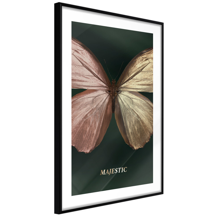 Poster Majestic Insect - Butterfly With Unusual Wings on a Dark Background 145518 additionalImage 7