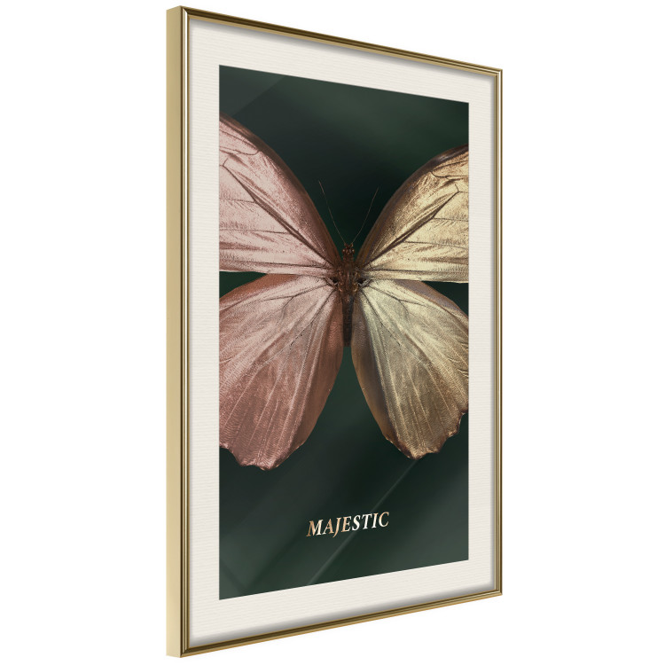 Poster Majestic Insect - Butterfly With Unusual Wings on a Dark Background 145518 additionalImage 8