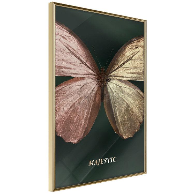 Poster Majestic Insect - Butterfly With Unusual Wings on a Dark Background 145518 additionalImage 2