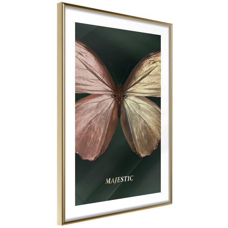 Poster Majestic Insect - Butterfly With Unusual Wings on a Dark Background 145518 additionalImage 9