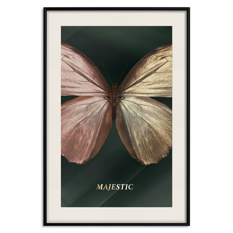 Poster Majestic Insect - Butterfly With Unusual Wings on a Dark Background 145518 additionalImage 26