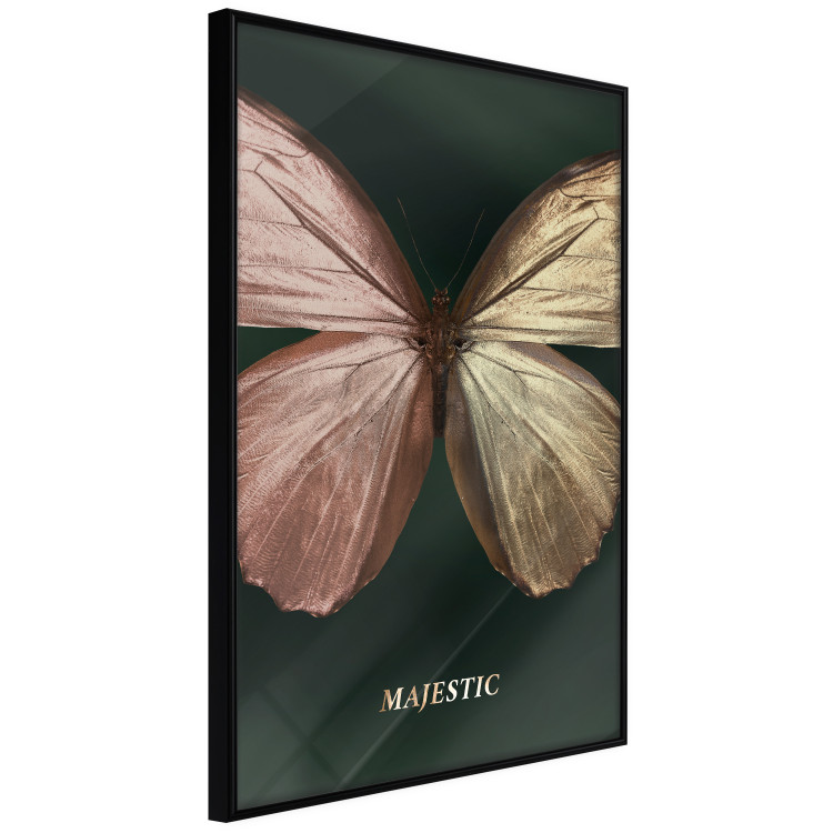 Poster Majestic Insect - Butterfly With Unusual Wings on a Dark Background 145518 additionalImage 3