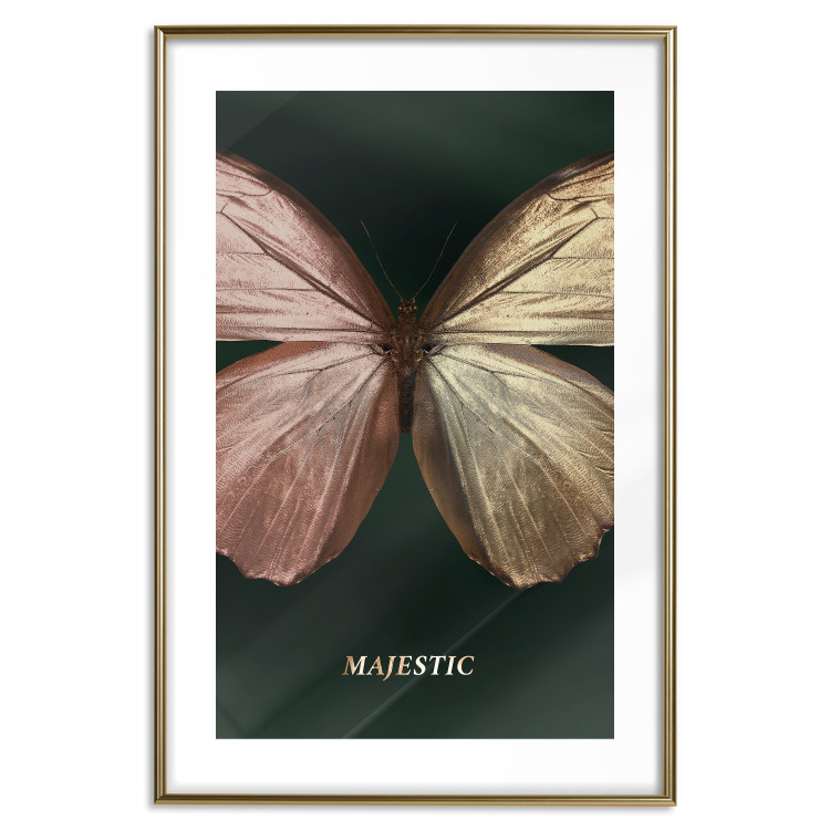 Poster Majestic Insect - Butterfly With Unusual Wings on a Dark Background 145518 additionalImage 25