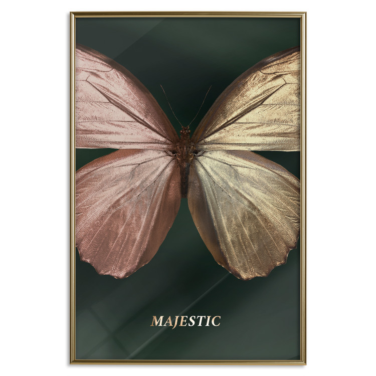 Poster Majestic Insect - Butterfly With Unusual Wings on a Dark Background 145518 additionalImage 23