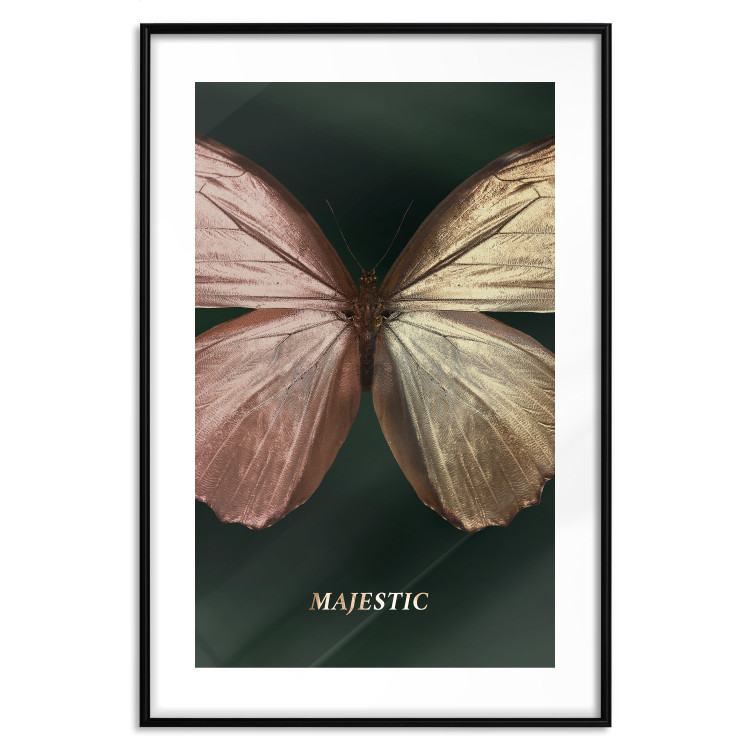 Poster Majestic Insect - Butterfly With Unusual Wings on a Dark Background 145518 additionalImage 24