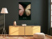 Poster Majestic Insect - Butterfly With Unusual Wings on a Dark Background 145518 additionalThumb 14