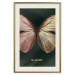 Poster Majestic Insect - Butterfly With Unusual Wings on a Dark Background 145518 additionalThumb 27