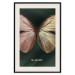 Poster Majestic Insect - Butterfly With Unusual Wings on a Dark Background 145518 additionalThumb 26