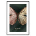 Poster Majestic Insect - Butterfly With Unusual Wings on a Dark Background 145518 additionalThumb 24