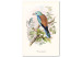 Canvas Art Print Common Starling (1-piece) - colorful birds on tree branches 149718