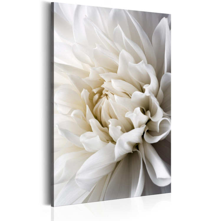 Large canvas print White Dahlia [Large Format] 150918 additionalImage 3