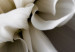 Large canvas print White Dahlia [Large Format] 150918 additionalThumb 4