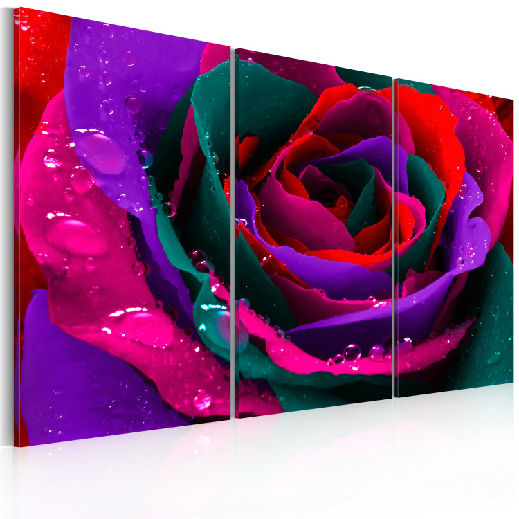 Canvas Rainbow-hued rose 58718 additionalImage 2