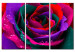 Canvas Rainbow-hued rose 58718