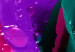 Canvas Rainbow-hued rose 58718 additionalThumb 5