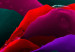 Canvas Rainbow-hued rose 58718 additionalThumb 4