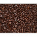 Wall Mural Coffee Beans - Energetic Motif of Coffee Beans for the Kitchen or Dining Room 60218 additionalThumb 1