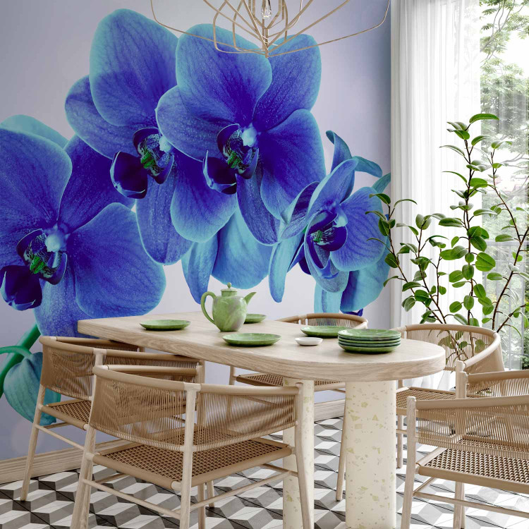 Photo Wallpaper Moments of Solitude - Blue Orchids on a Blue Background with White 60318 additionalImage 7