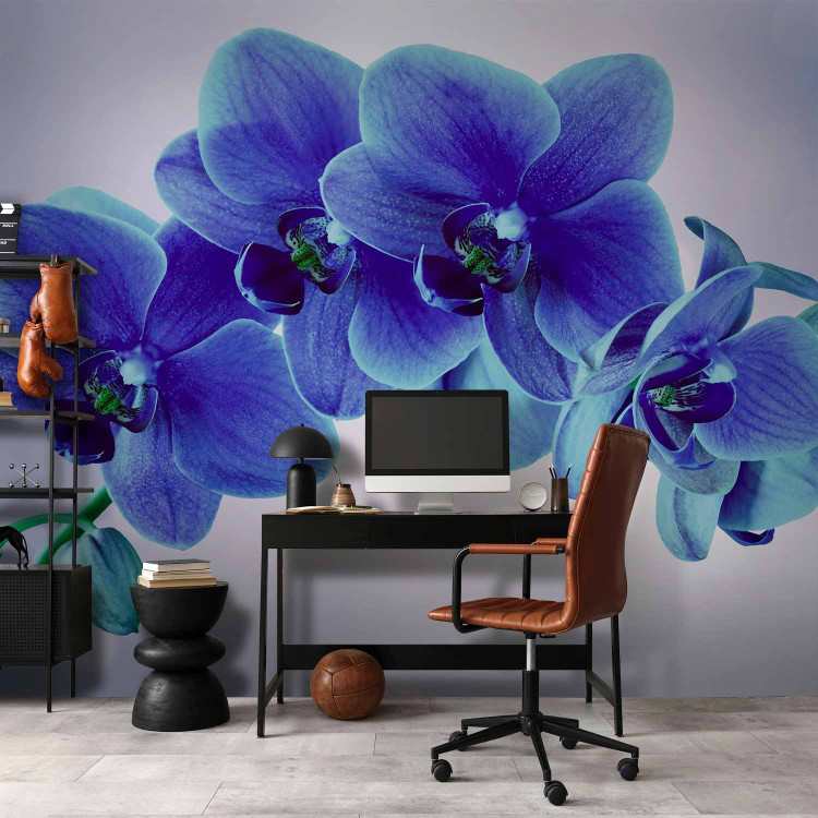 Photo Wallpaper Moments of Solitude - Blue Orchids on a Blue Background with White 60318 additionalImage 4